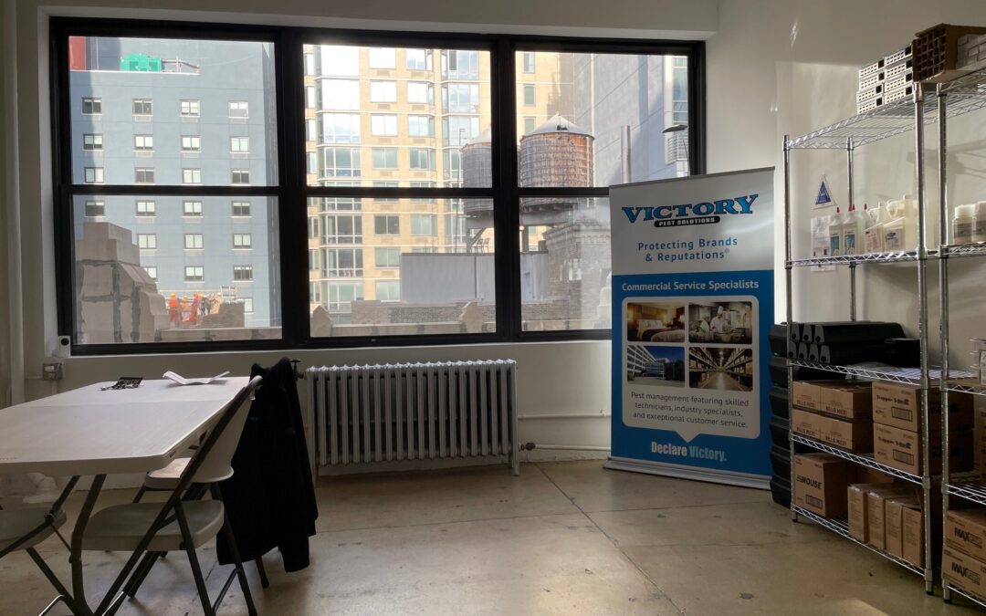 Victory Pest Solutions opens branch in Manhattan