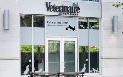 Veterinaire Extraordinaire!