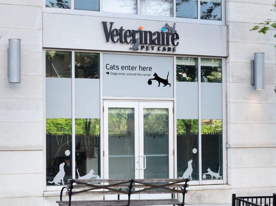 Veterinaire Extraordinaire!